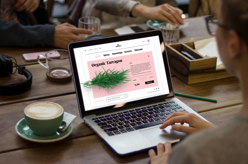 طراحي وب سايت و مراحل انجام آن به چه شكل است؟